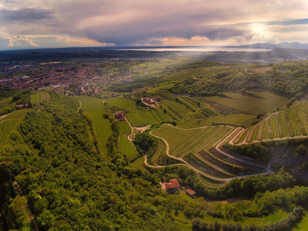 Amarone wine and Valpolicella wine region