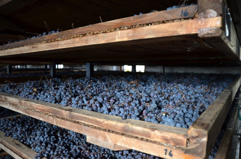 Amarone Wine production process