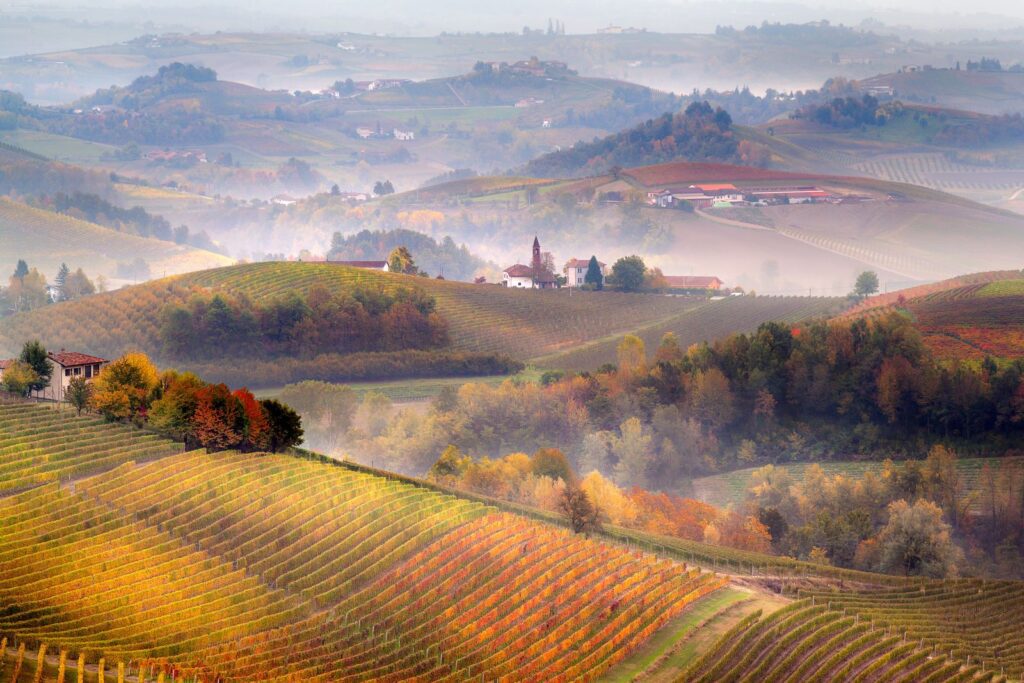 Day trips from Milan to Alba Piedmont for Barolo wines