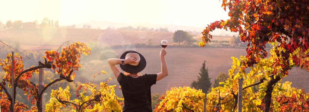 Day trips from Milan to Barolo wine tour