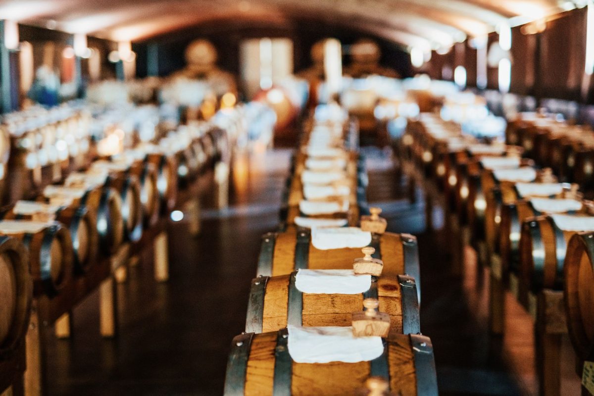 Bologna and Modena 15