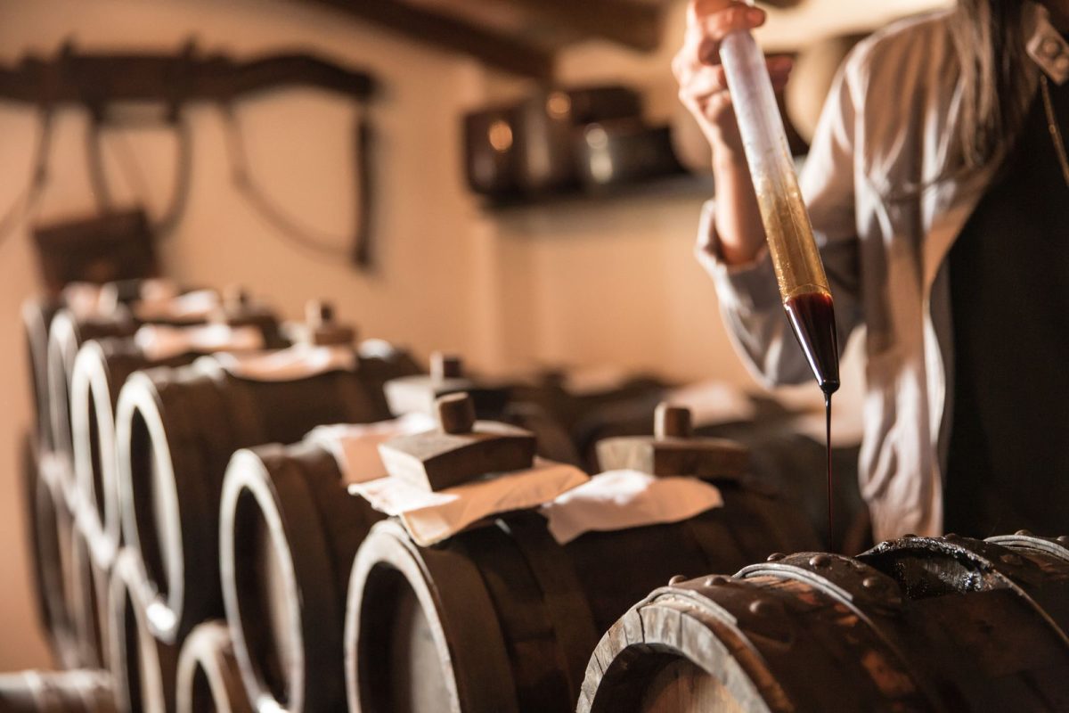 Bologna and Modena 20