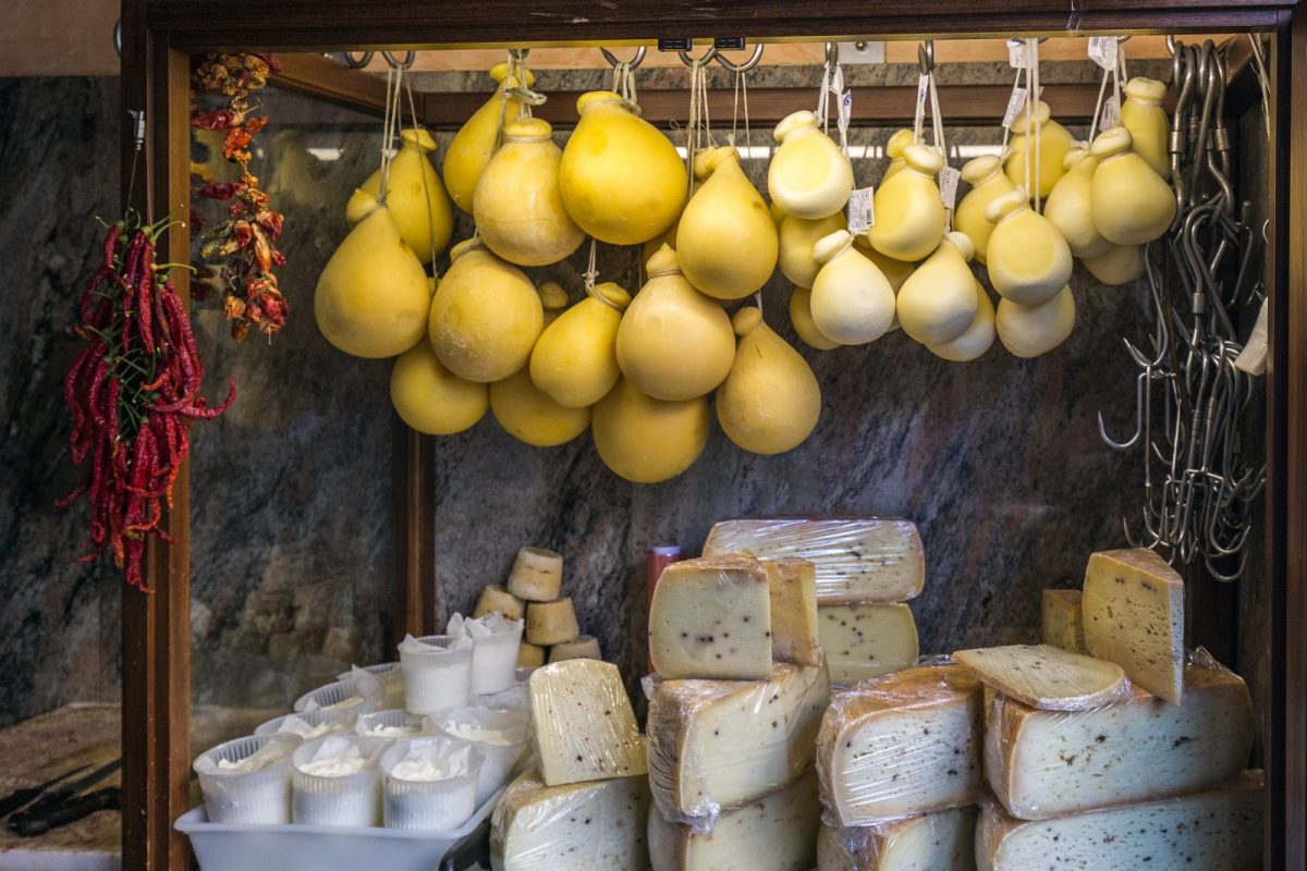 Bologna Food Tour & City Guided Tour