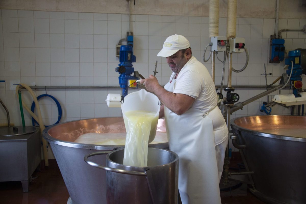 Caseificio Ugolotti 1