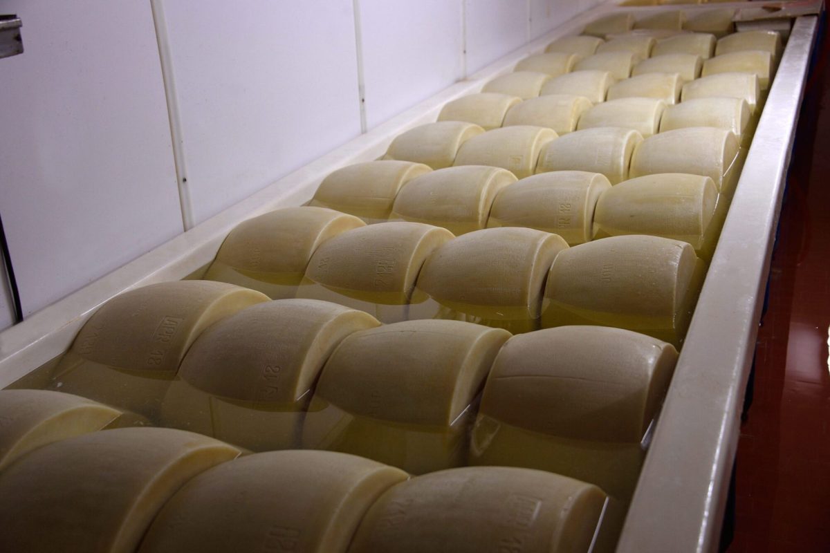 Caseificio Ugolotti 10