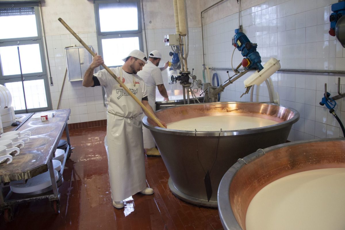 Caseificio Ugolotti 16