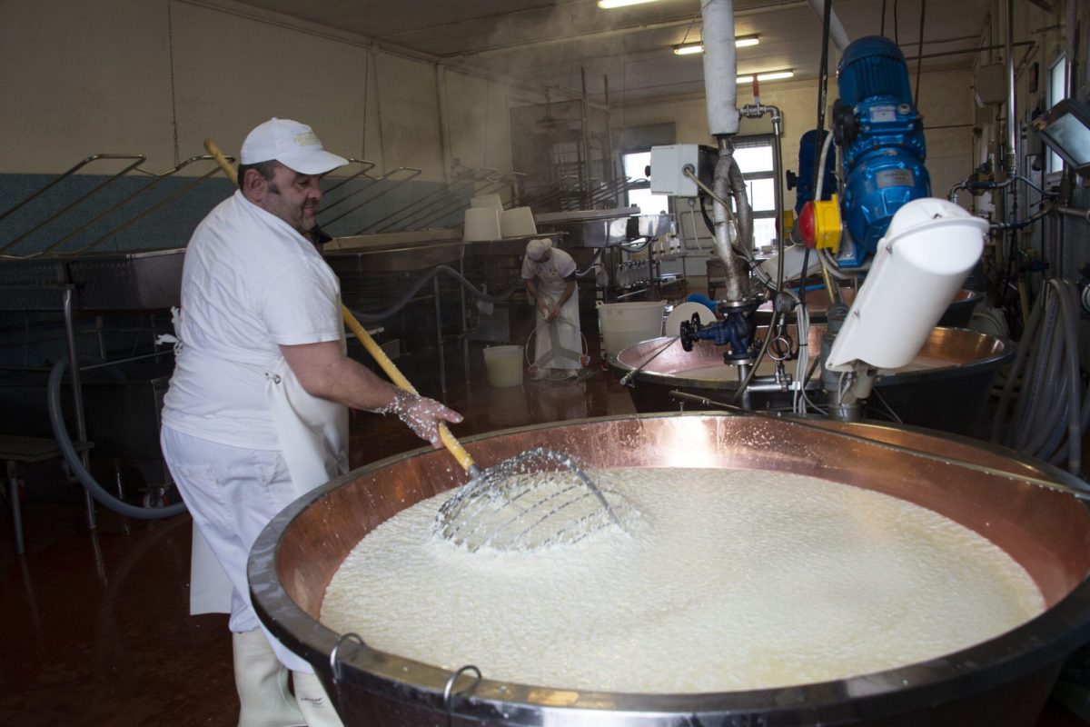 Caseificio Ugolotti 2