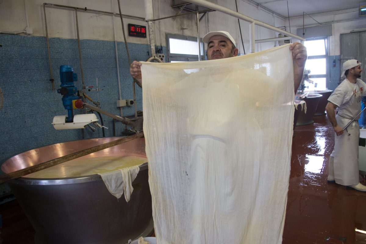 Caseificio Ugolotti 3