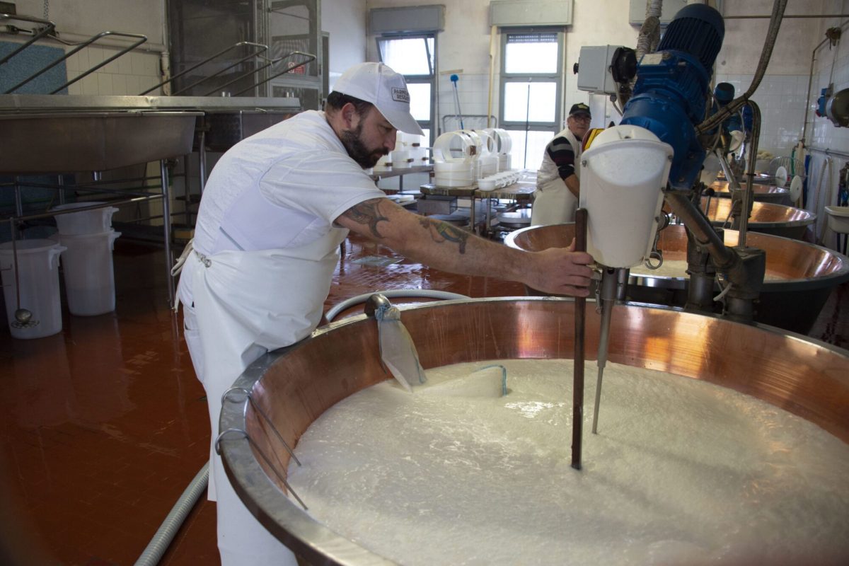 Caseificio Ugolotti 5