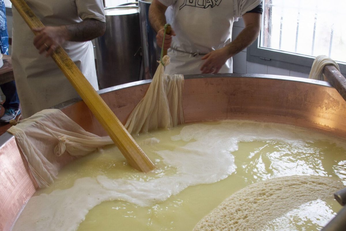 Caseificio Ugolotti 7