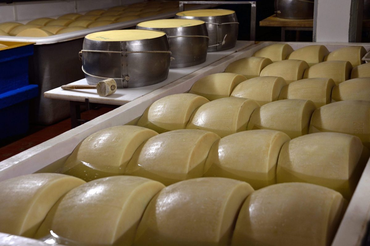 Caseificio Ugolotti 9