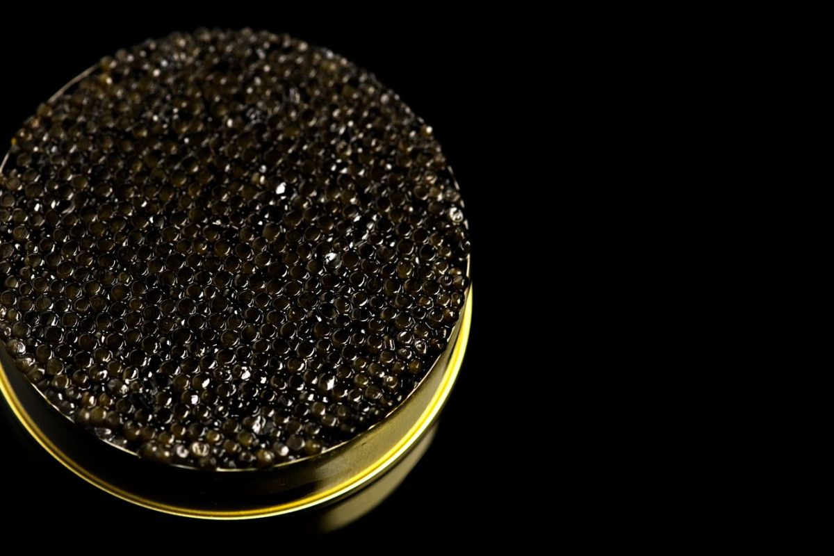 Caviar 06