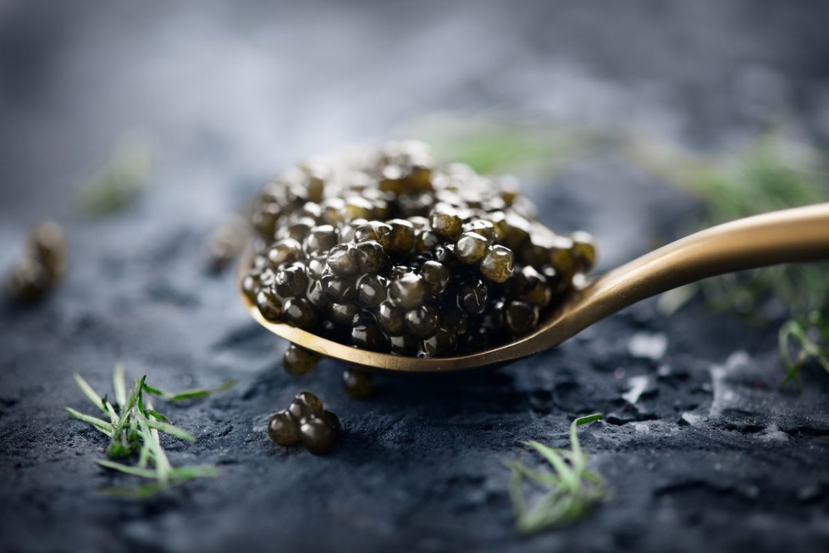 Caviar 07