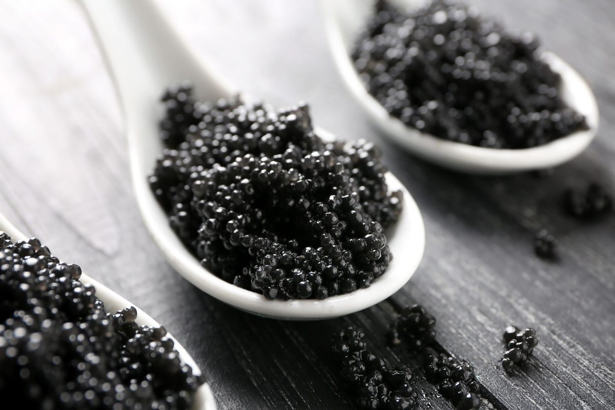 Caviar Farm Visit during Milan Day Trips to Franciacorta
