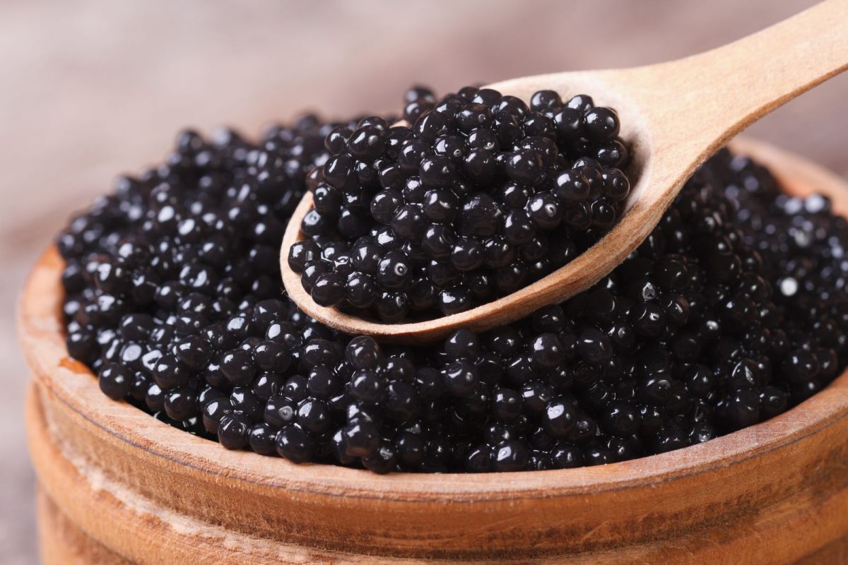 Caviar 09