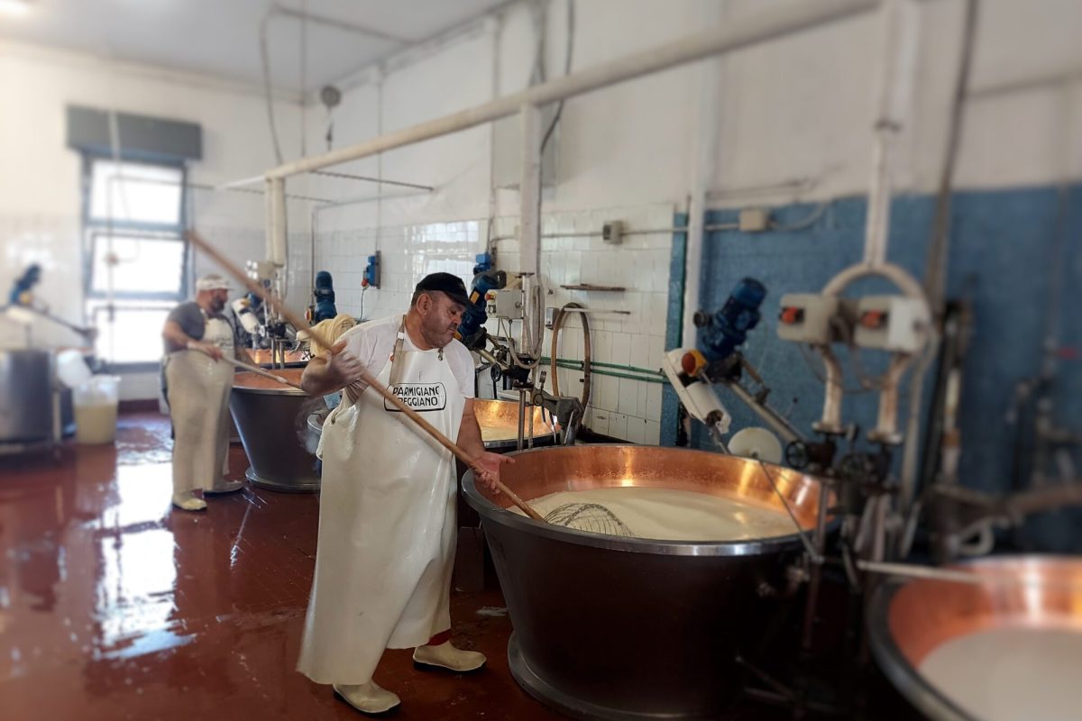 Cheese Factory Visit