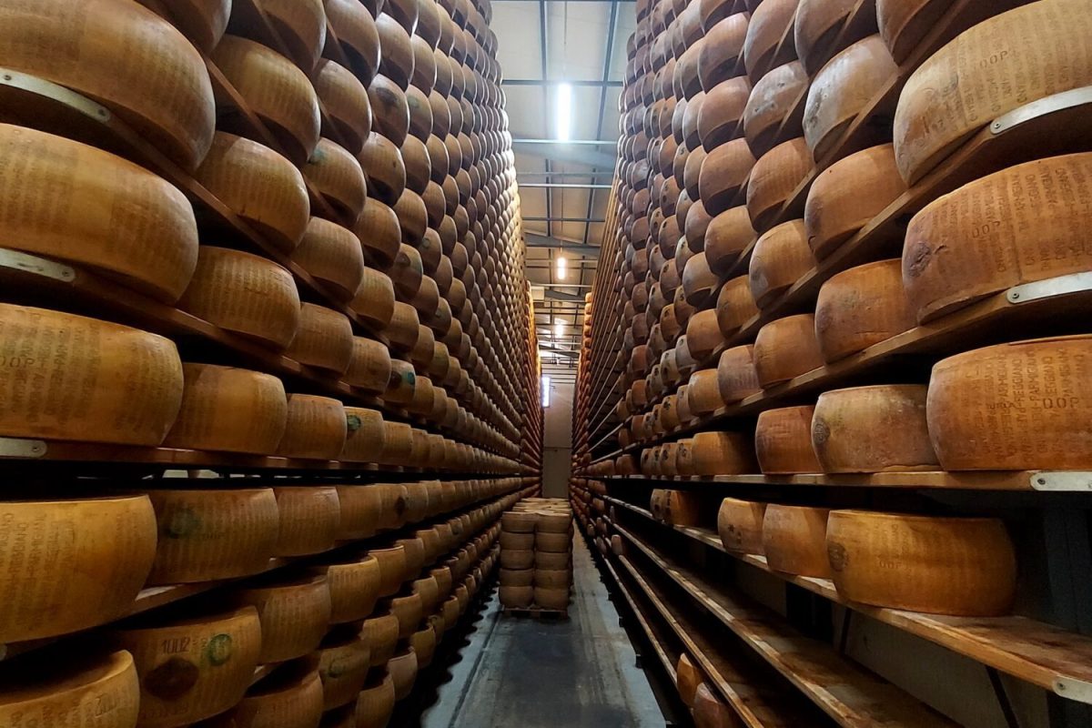 Cheese Factory Visit 32