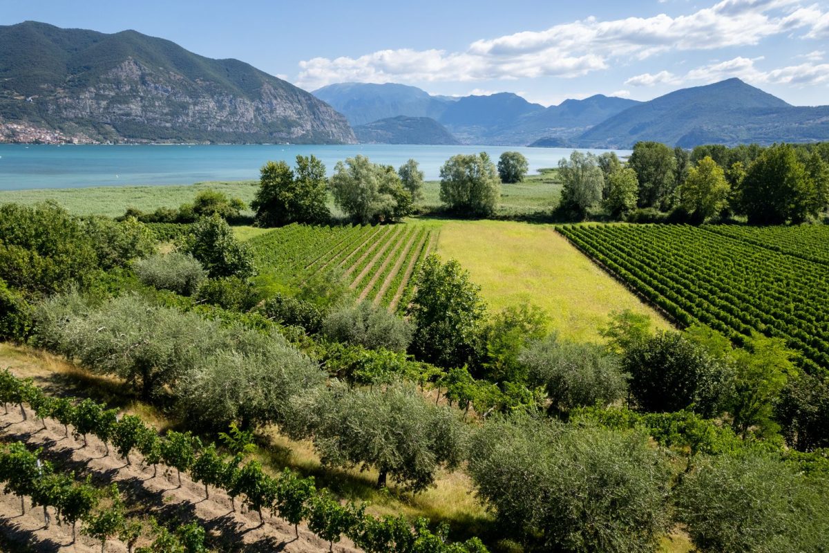 Franciacorta and Lake Iseo 01