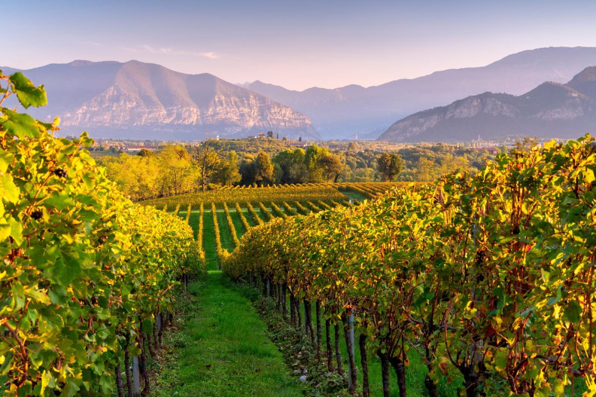 Franciacorta and Lake Iseo 04