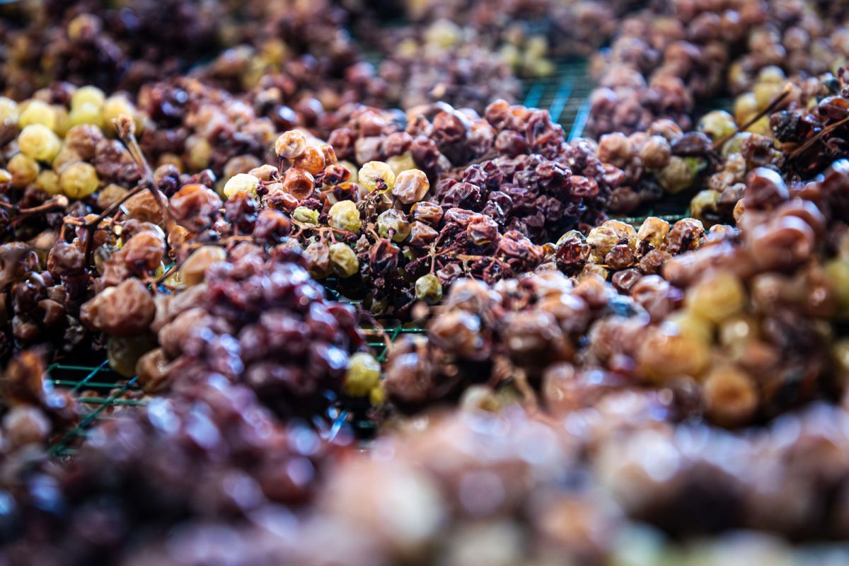 Valpolicella 01