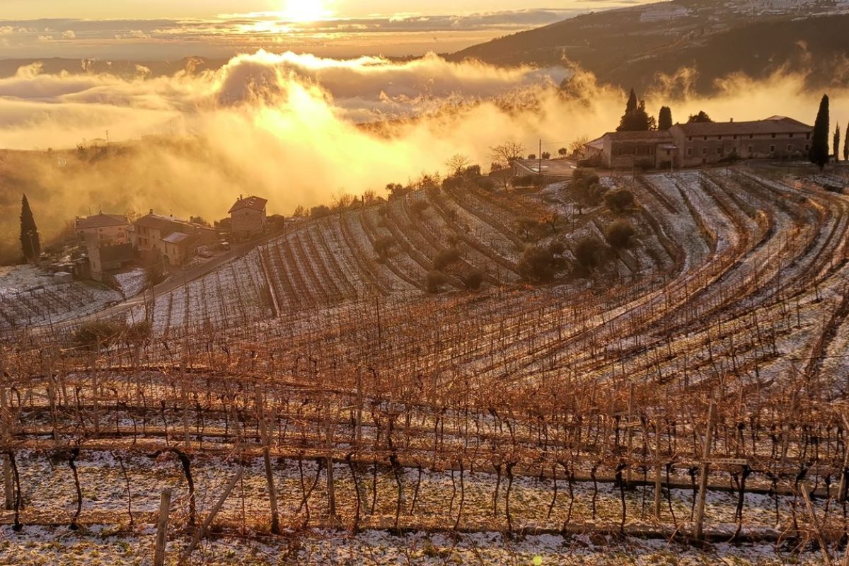 Valpolicella 07