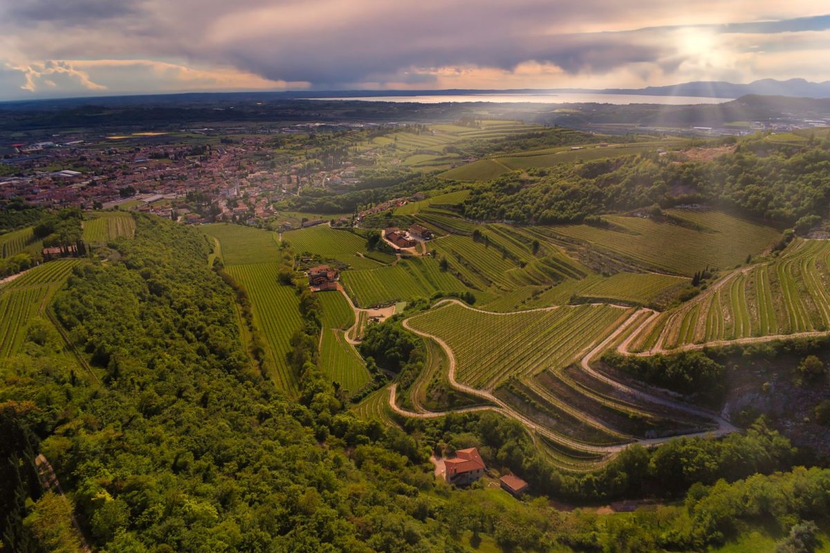 Valpolicella 09
