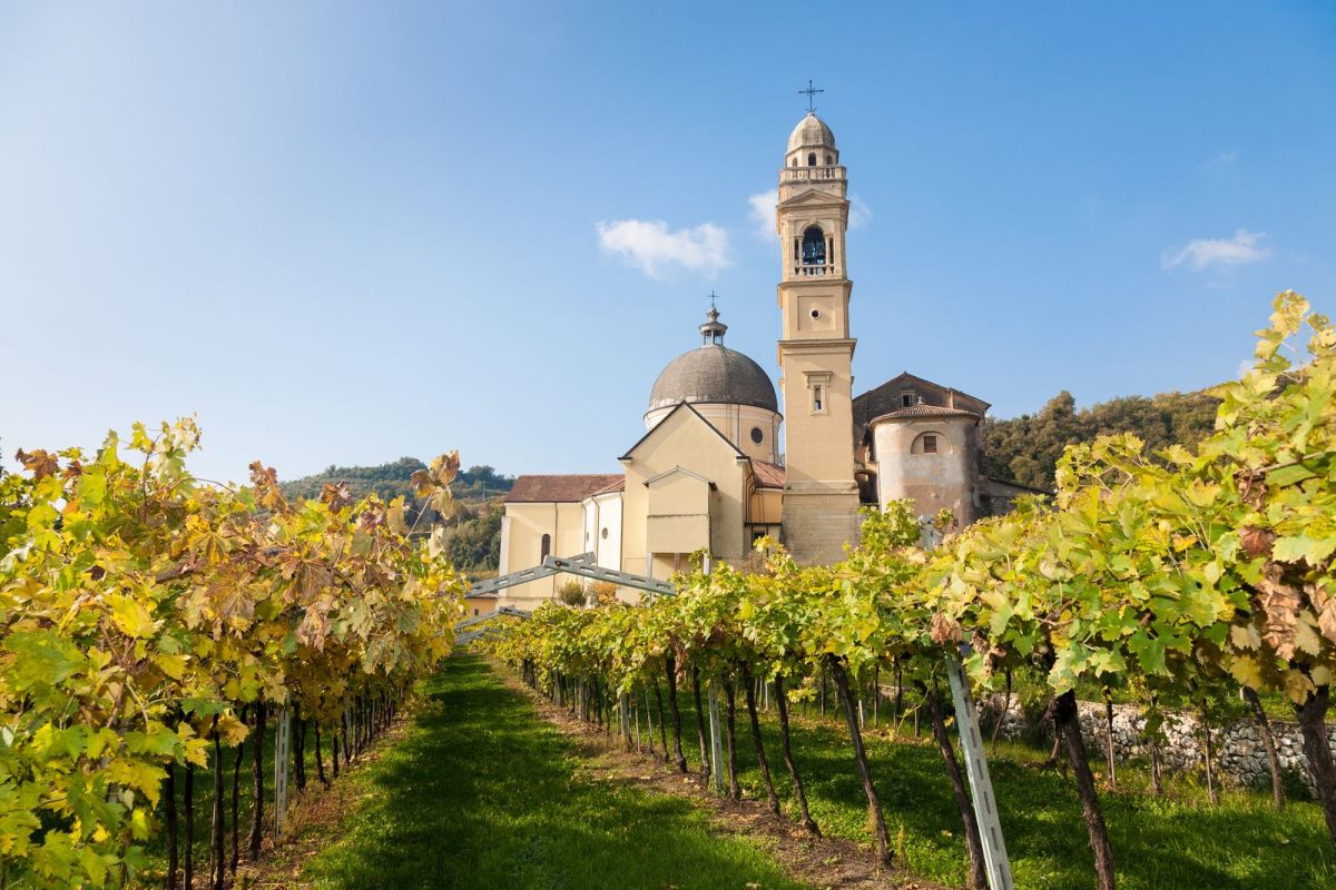 Valpolicella 10