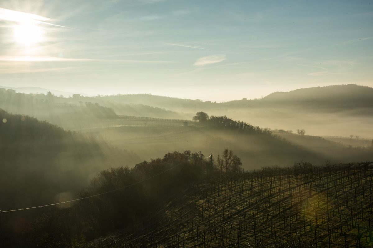 Valpolicella 12