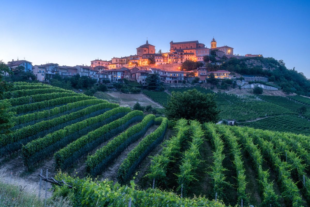 Wine Tour 10