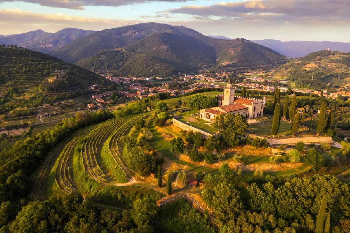 Wine Tour 13