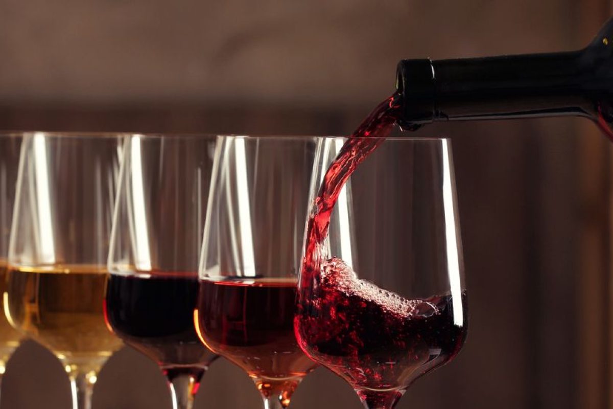 Wine Tour 14