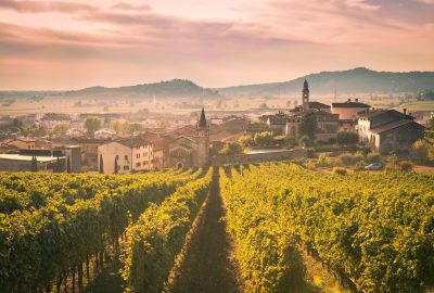 Wine Tour 22