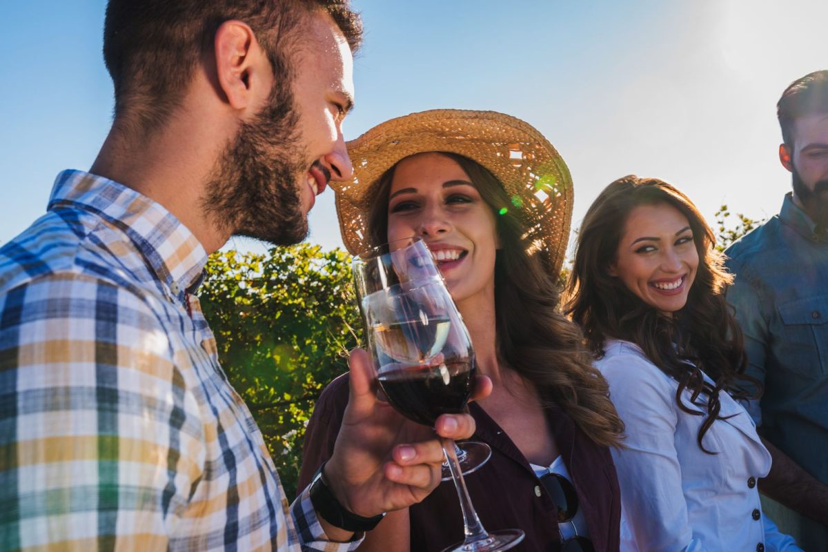 Wine Tour 24
