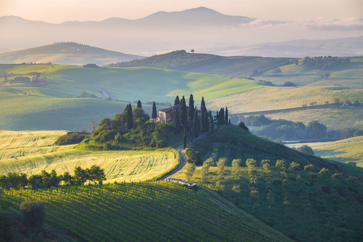 Wine Tour 27