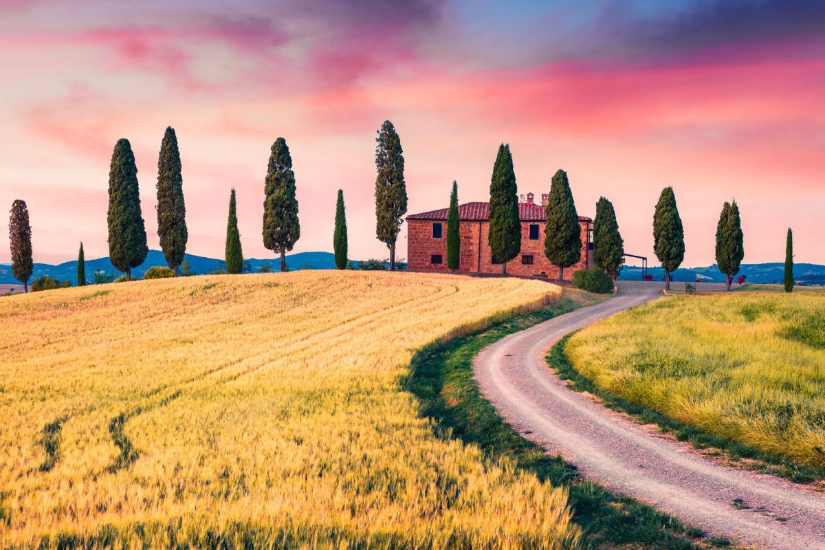 Wine Tour 28