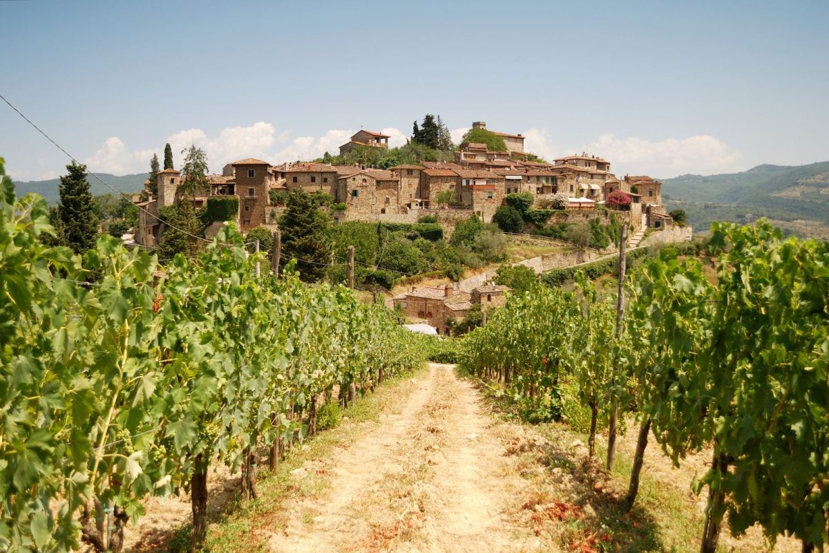 Wine Tour 44