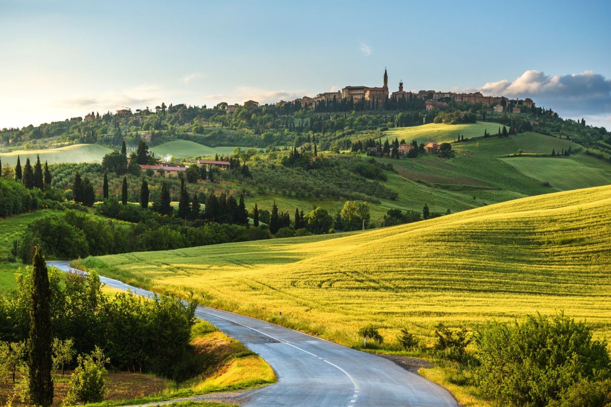 Wine Tour 45