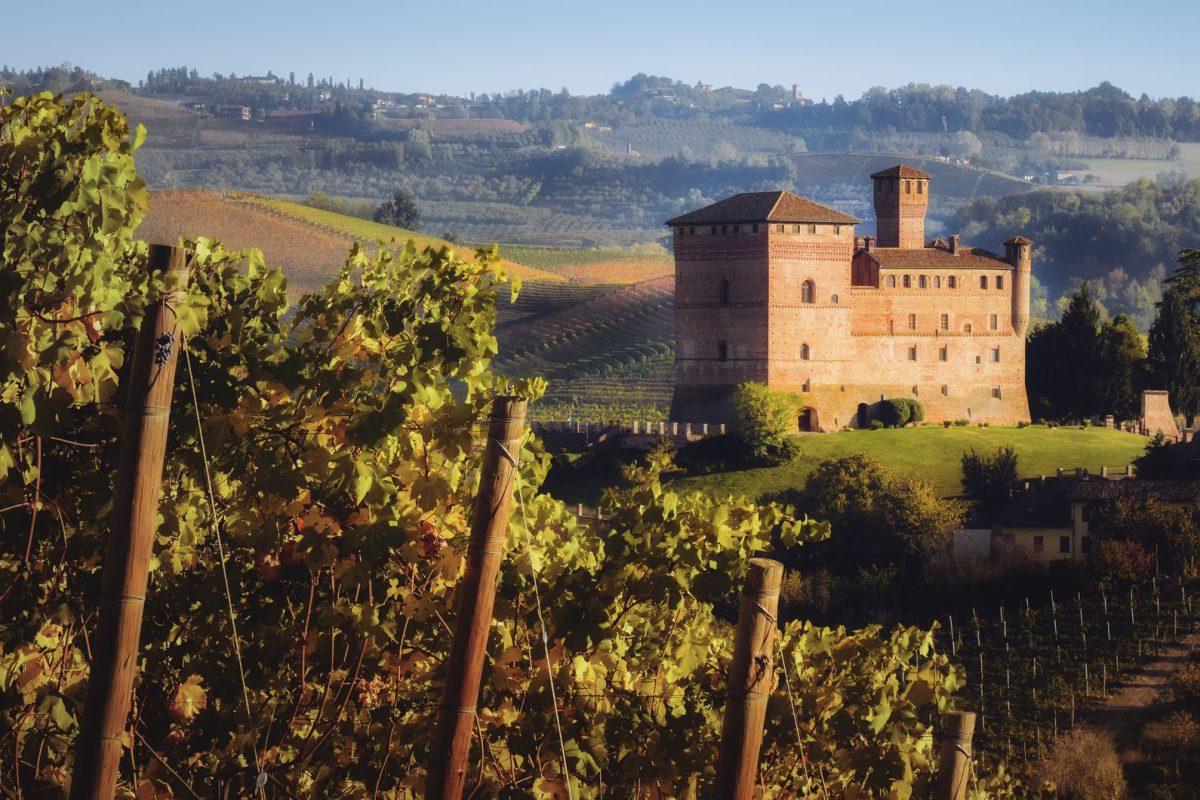Wine Tour 48