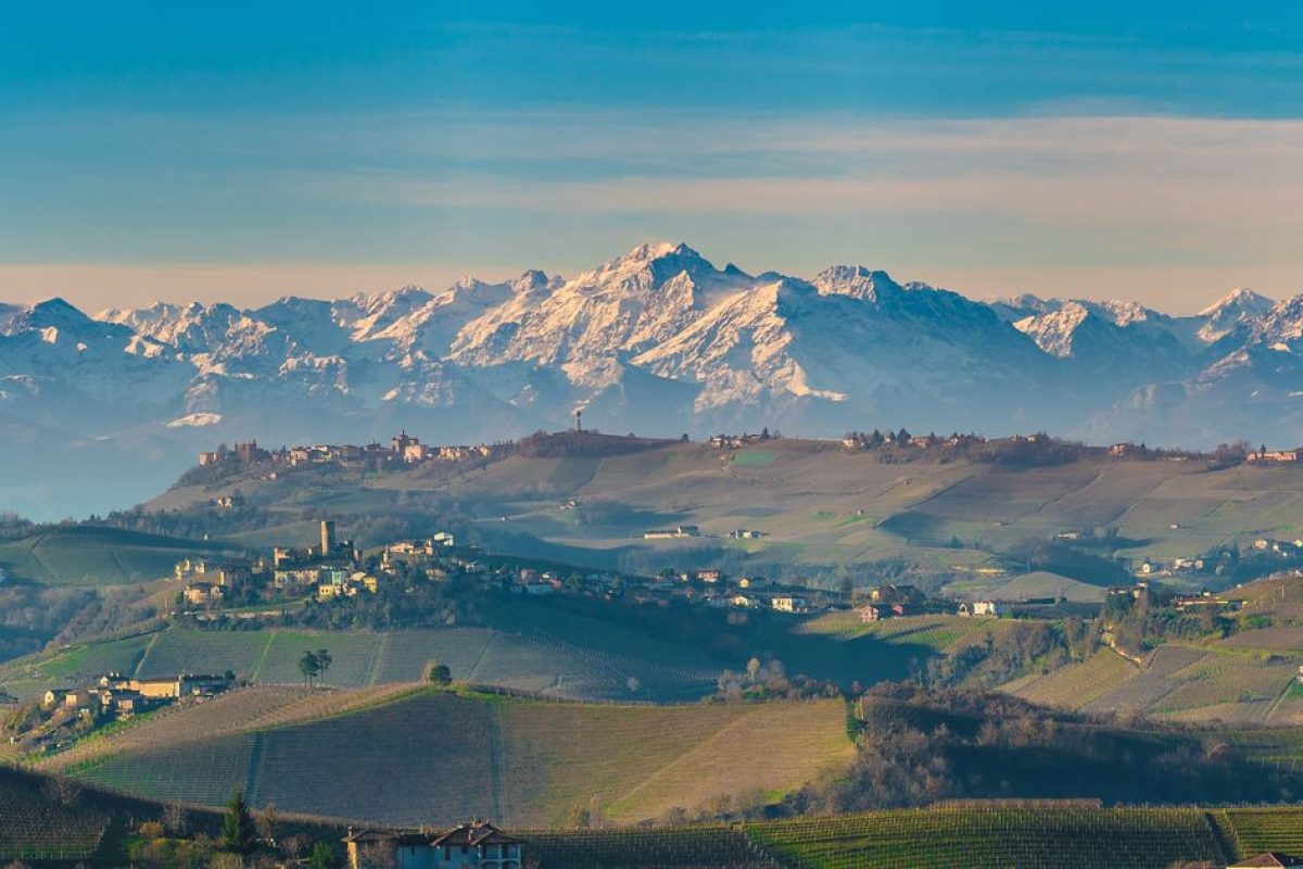 Wine Tour 51