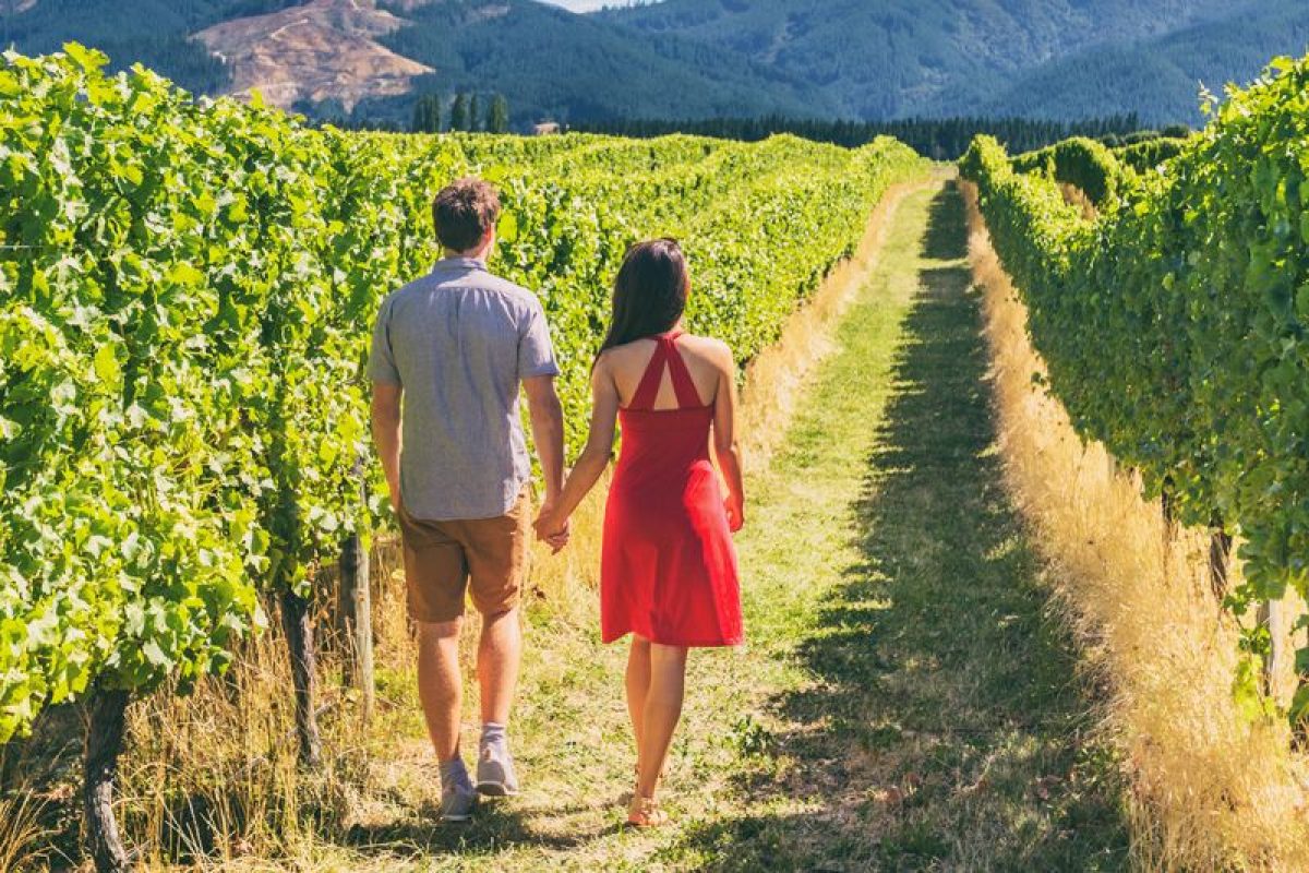 Wine Tour 52