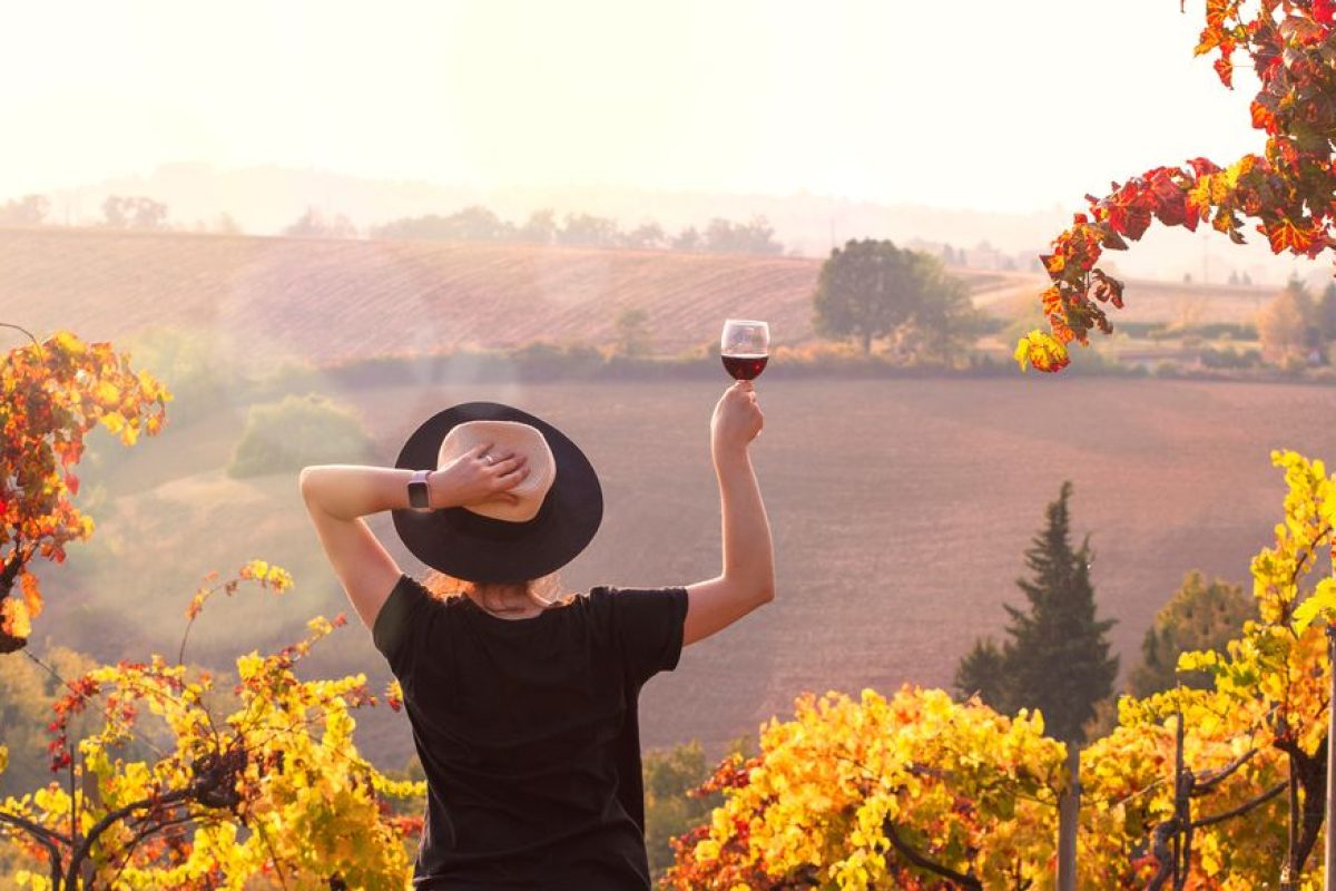 Amarone Wine Tour on Day Trips from Venice