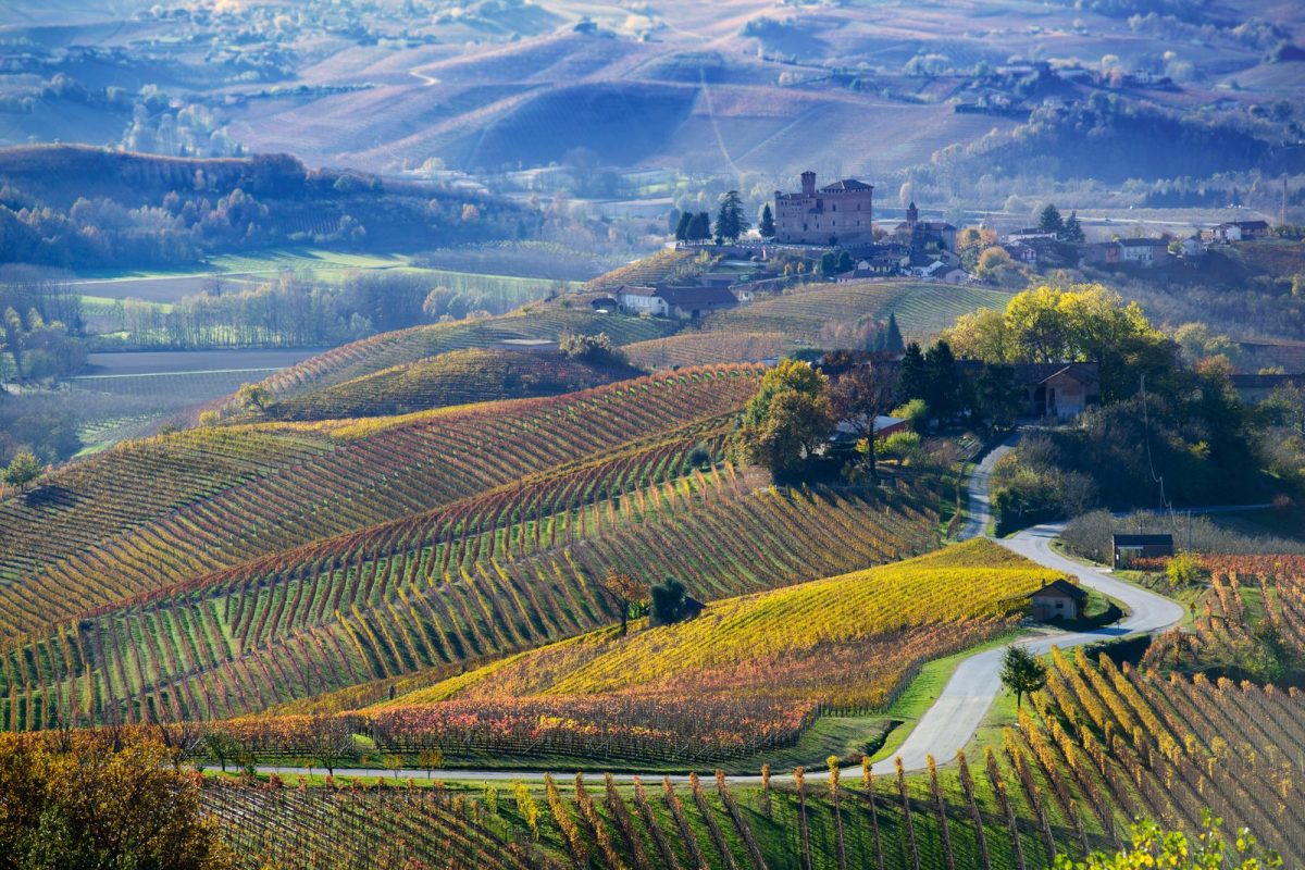 Wine Tour 63