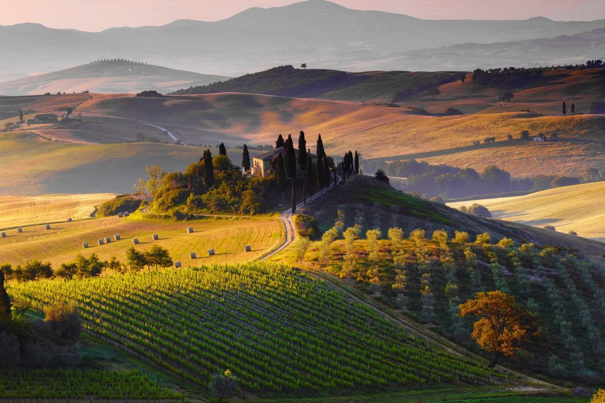 Wine Tour 63