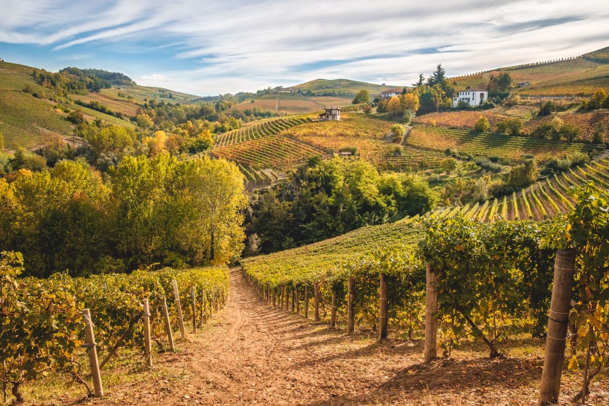 Wine Tour 68