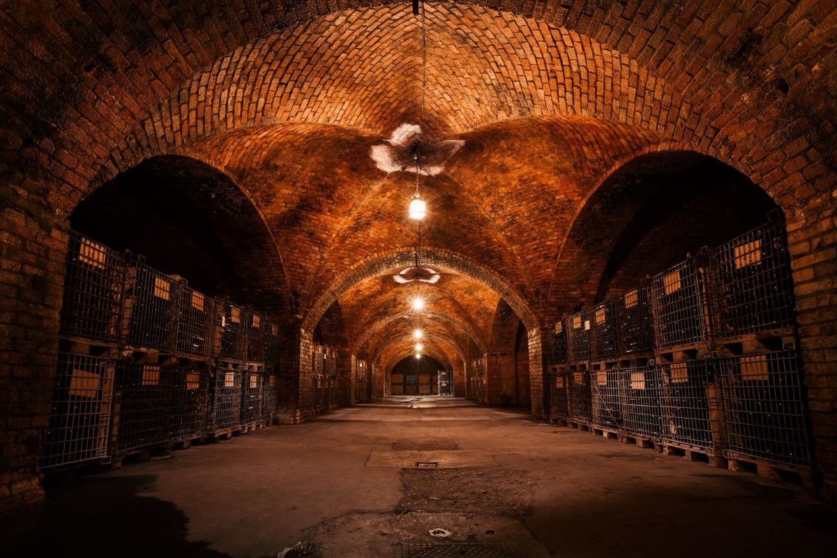 Wine Tour 76