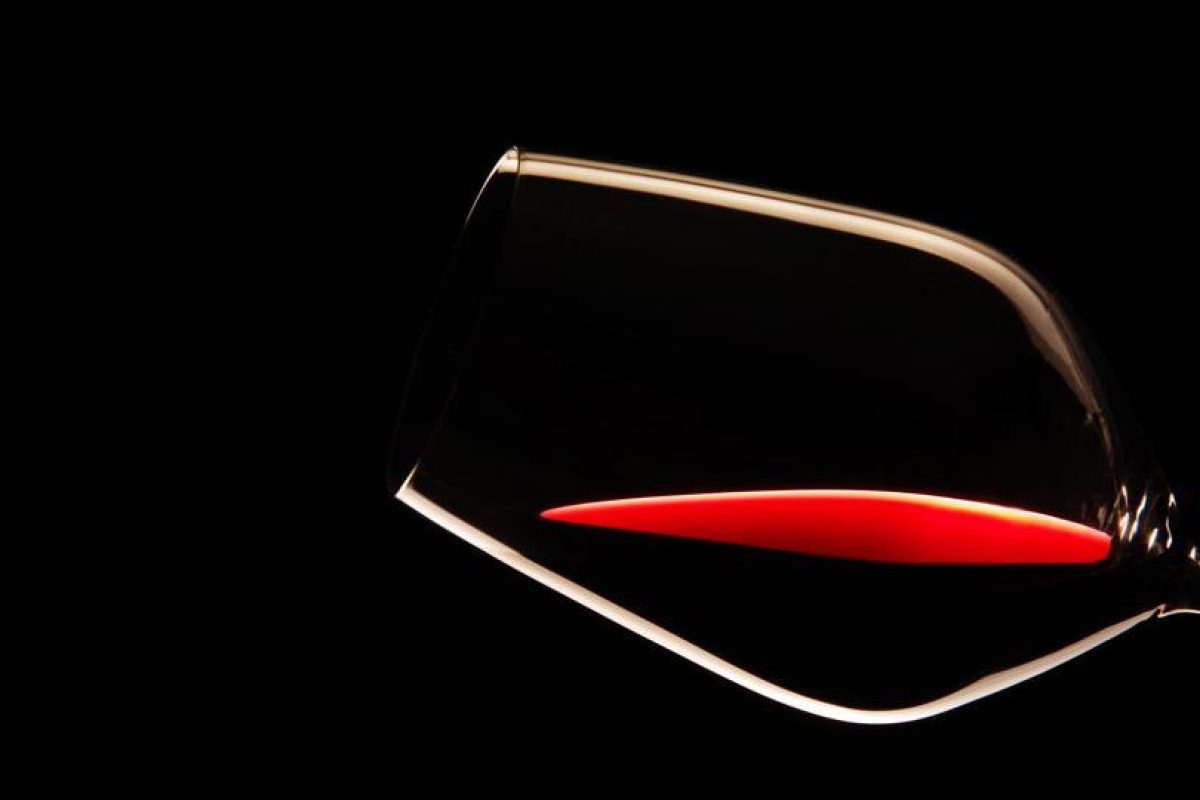 Amarone Wine Tour on Day Trips from Venice